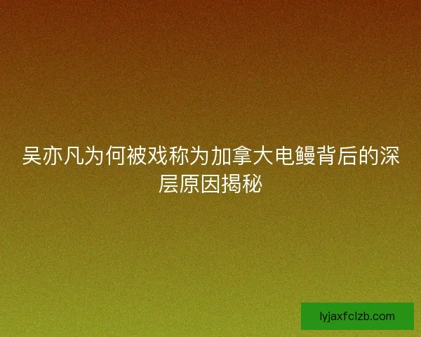 吴亦凡为何被戏称为加拿大电鳗背后的深层原因揭秘